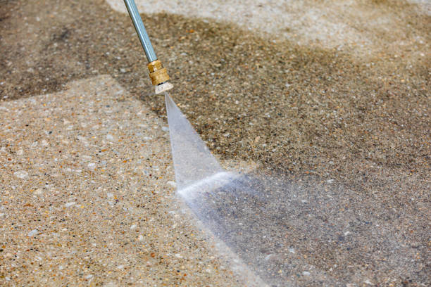Animal Enclosure Cleaning in North Bellport, NY